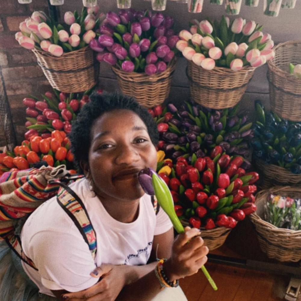 Meet your Posher, Saphir